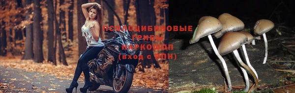 синтетический гашиш Белоозёрский